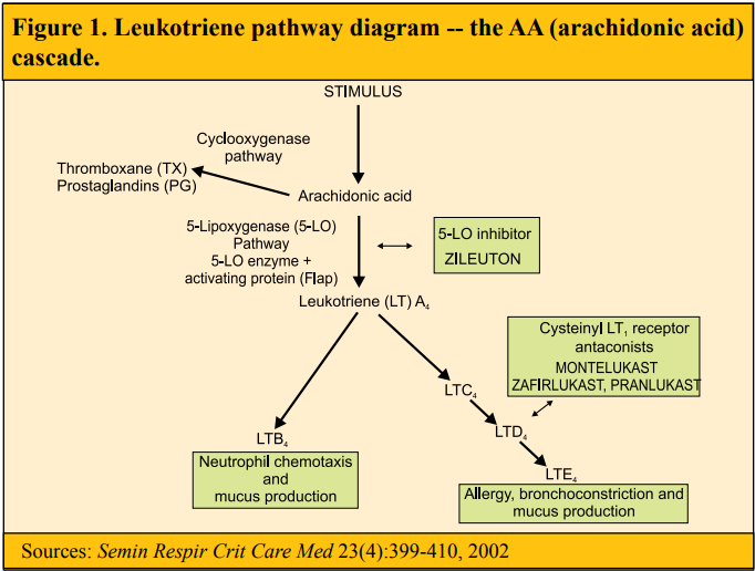Oral Antihistamines Alone vs in Combination with Leukotriene